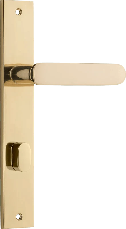 Polished Brass / Privacy Lever Only