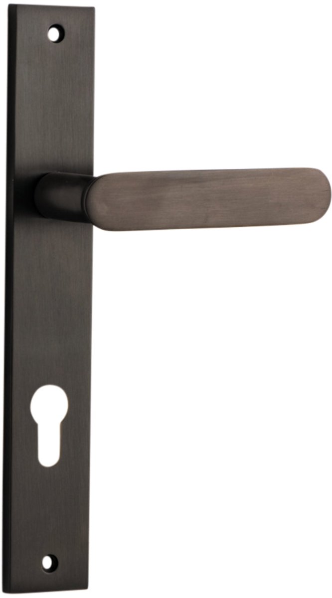 Signature Brass / Entrance Leverset Only E85