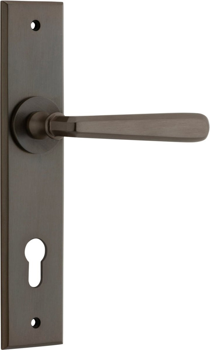 Signature Brass / Entrance Pair (Handles Only)