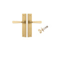 Brushed Brass / Passage Set