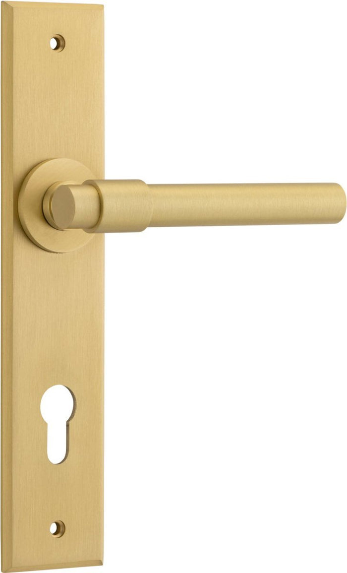 Brushed Gold PVD / Entrance Pair (Handles Only)