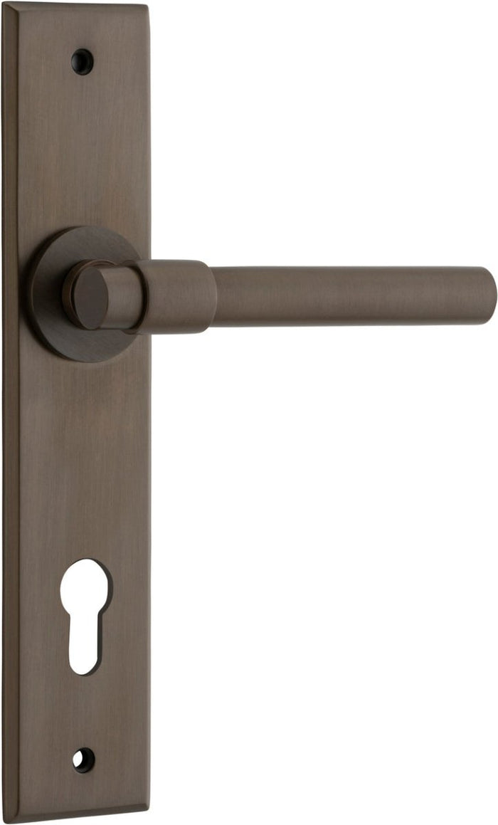 Signature Brass / Entrance Pair (Handles Only)