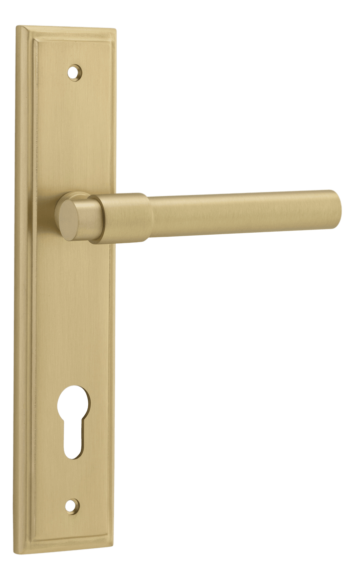 Brushed Gold PVD / Entrance Set E85 Only