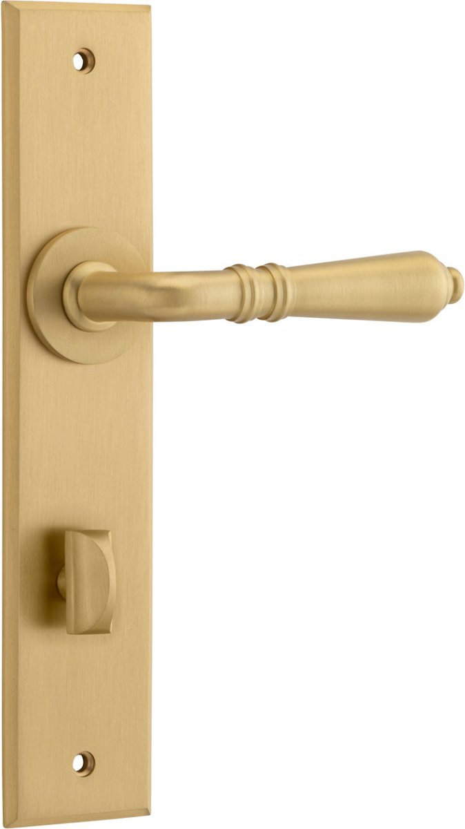 Brushed Brass / Privacy Pair (Handles Only)