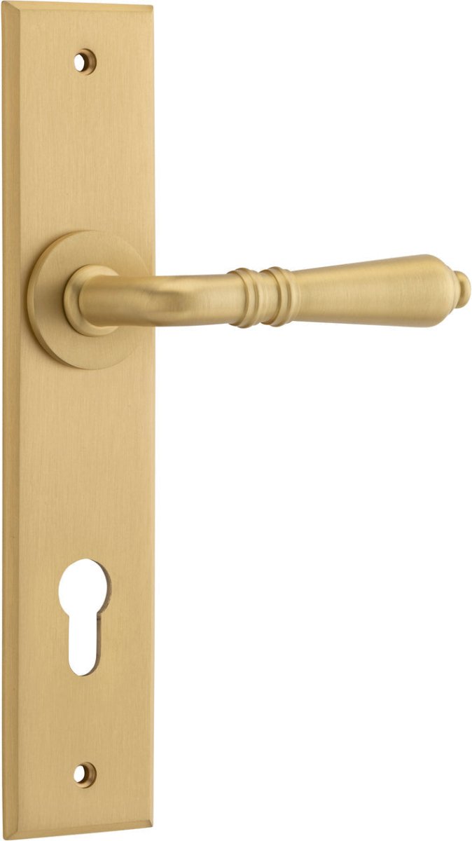 Brushed Brass / Entrance Pair (Handles Only)