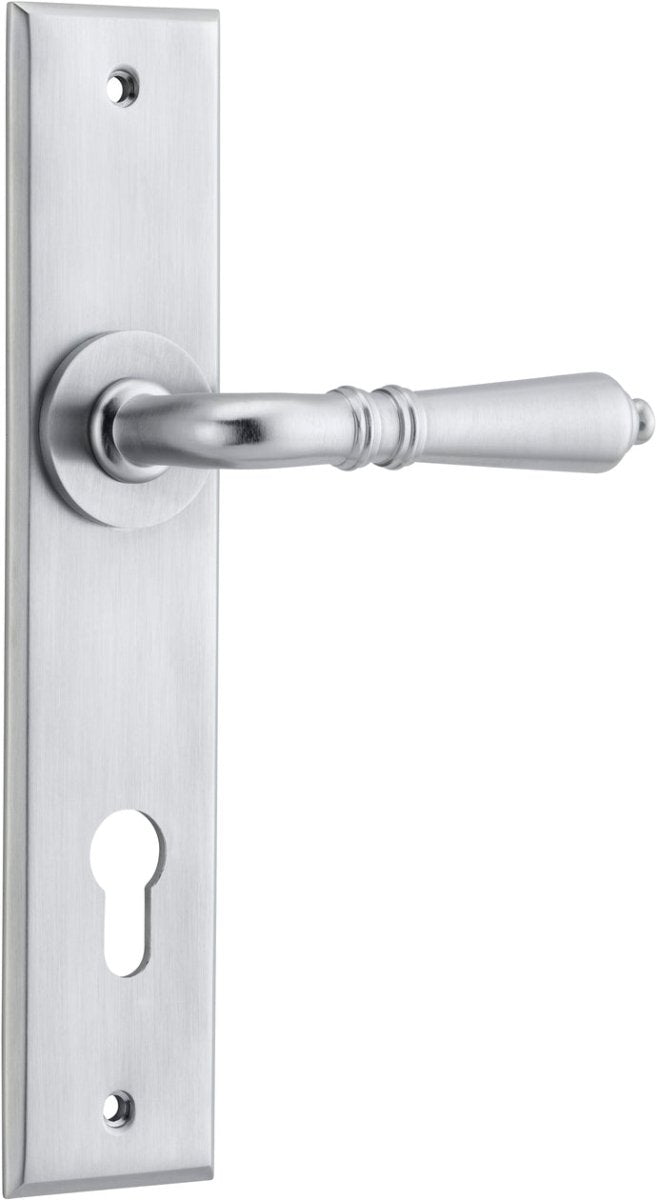 Brushed Chrome / Entrance Pair (Handles Only)