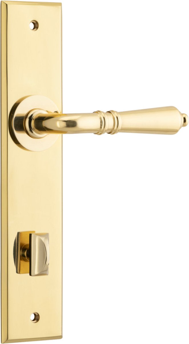 Polished Brass / Privacy Pair (Handles Only)