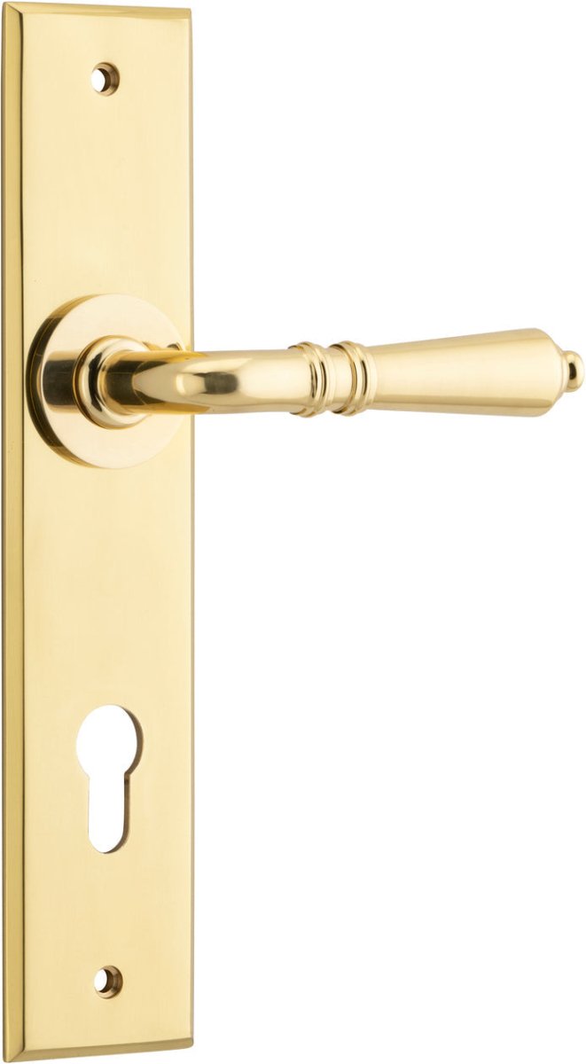 Polished Brass / Entrance Pair (Handles Only)