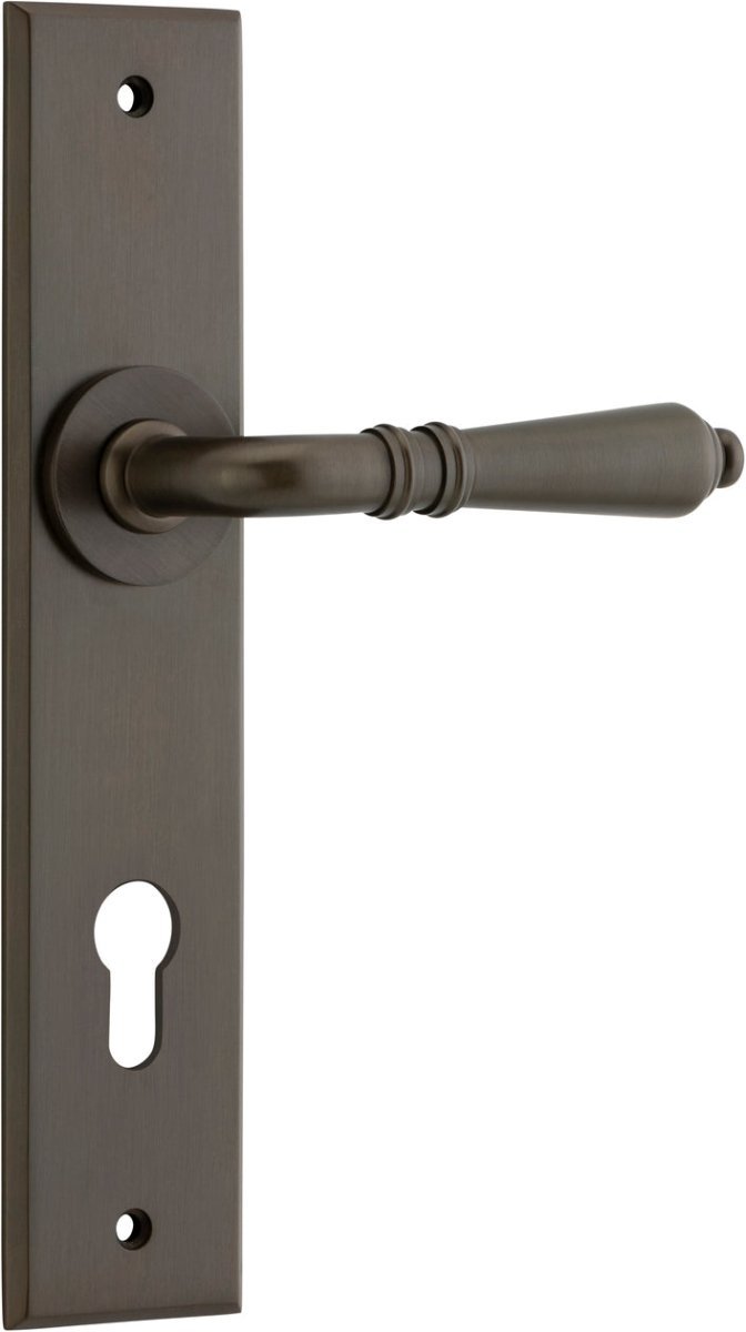 Signature Brass / Entrance Pair (Handles Only)