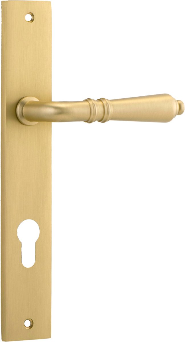 Brushed Gold PVD / Entrance Pair (Handles Only)
