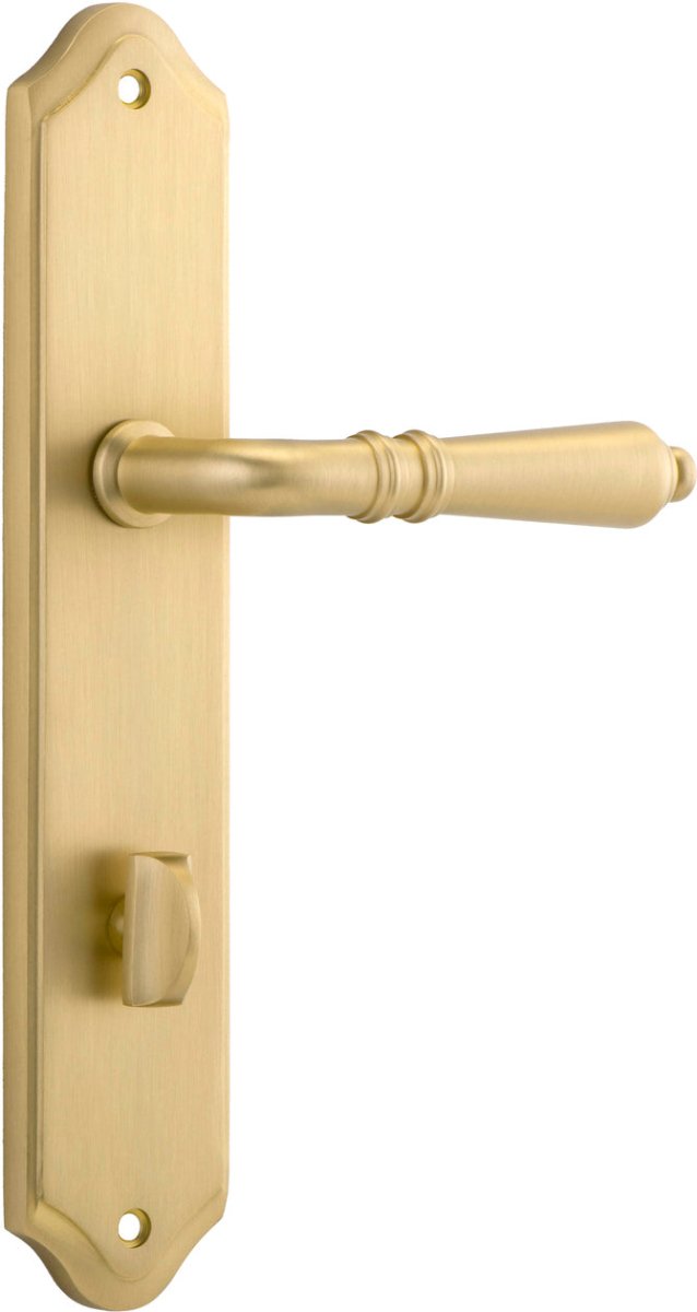 Brushed Gold PVD / Privacy Pair (Handles Only)