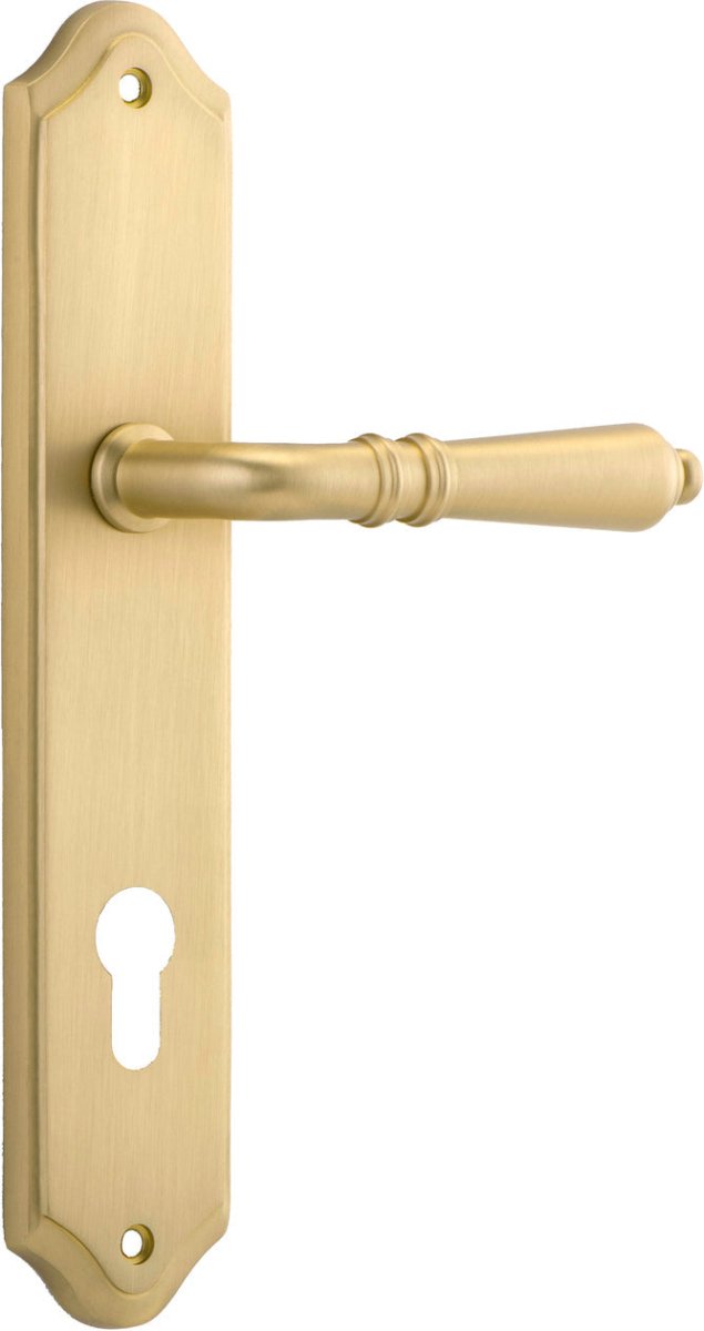 Brushed Gold PVD / Entrance Pair (Handles Only)