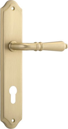 Brushed Brass / Entrance Pair (Handles Only)