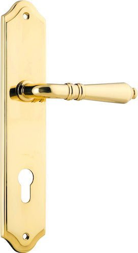 Polished Brass / Entrance Pair (Handles Only)