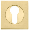 Euro Escutcheons - Square - Entry Point - Iver - Brushed Gold PVD - Escutcheons