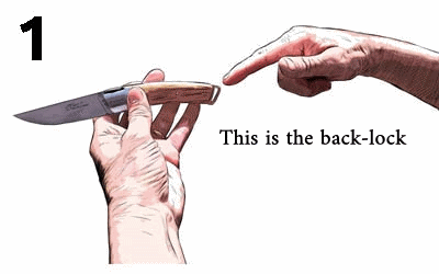 Le Thiers® Pocket Teak Handle, close-up of back-lock mechanism. Handcrafted details, 100% Made in France.