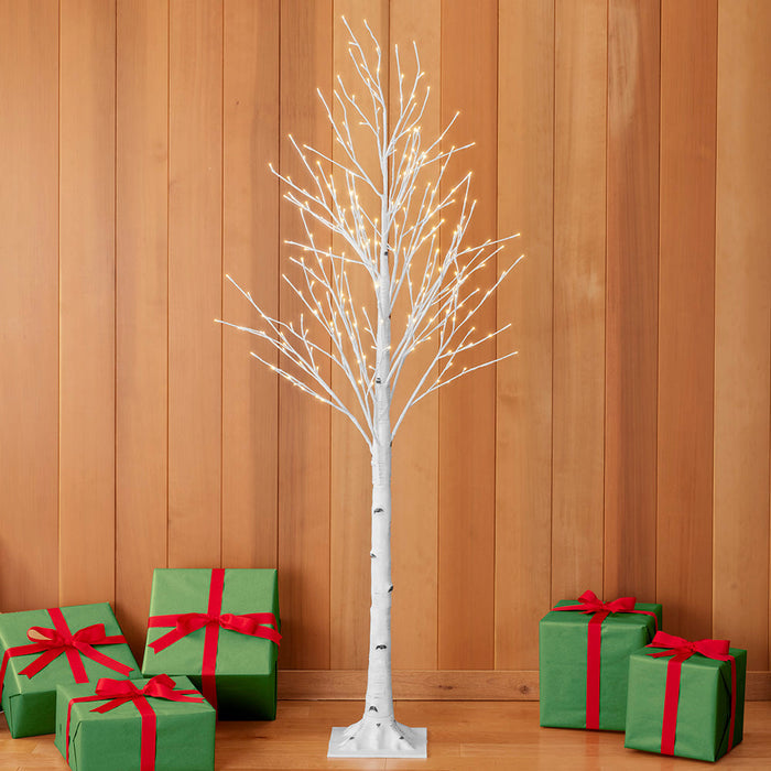 Lighted Birch Trees