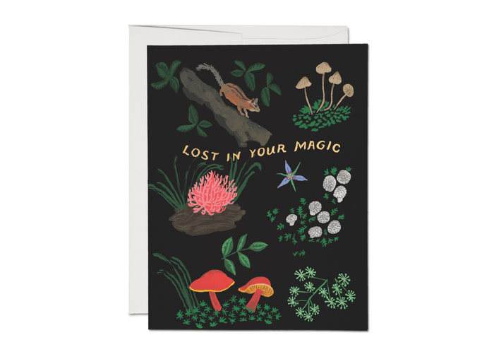 Lost In Your Magic