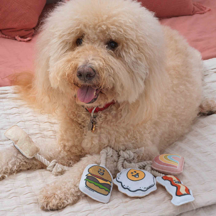 Mini Dog Toy Set | Breakfast