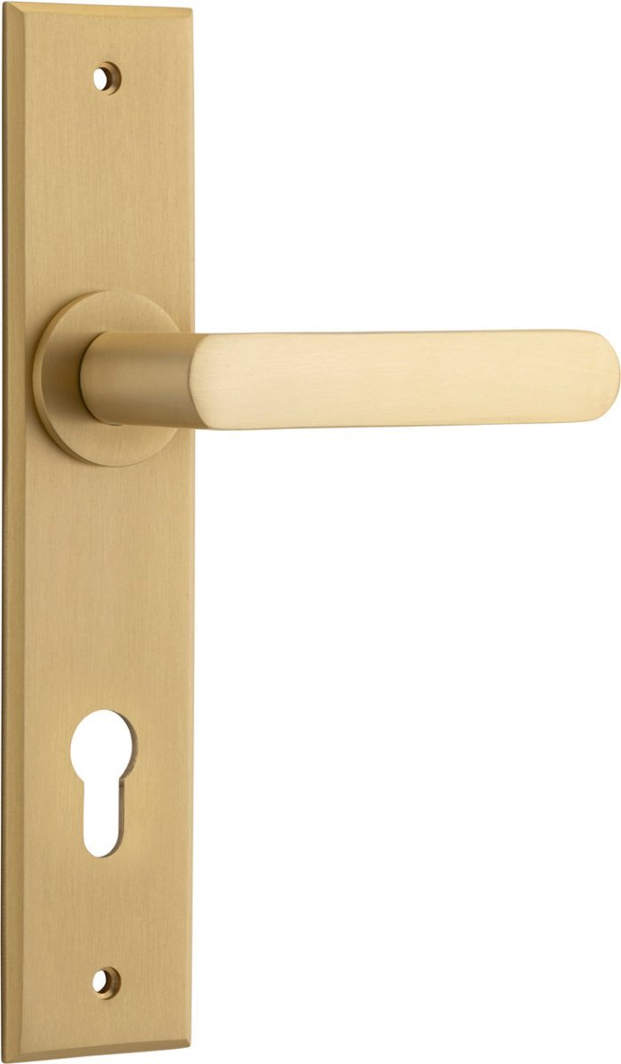 Brushed Brass / Entrance Set E85 Only