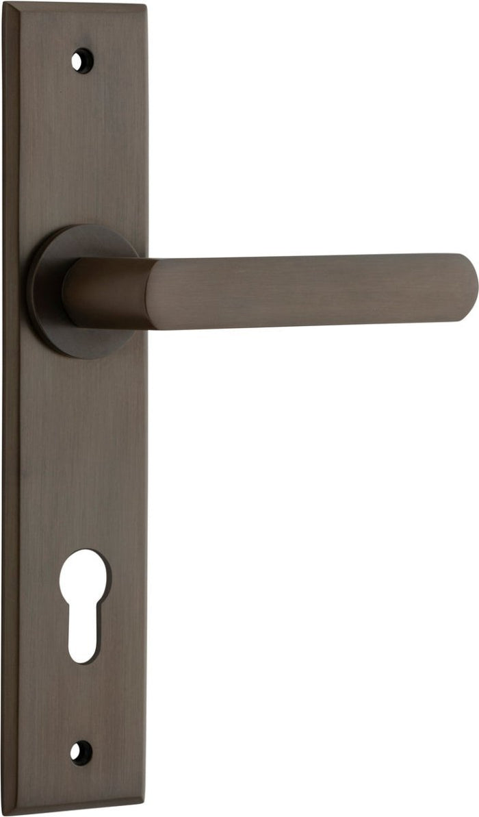 Signature Brass / Entrance Set E85 Only