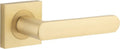 Osaka Lever - Square Rose - Entry - Point - 21186 - Iver