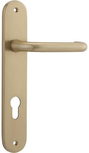 Brushed Brass / Entry Set E85 Only