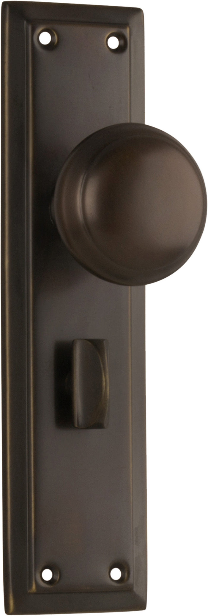 Privacy Set Only / Antique Brass