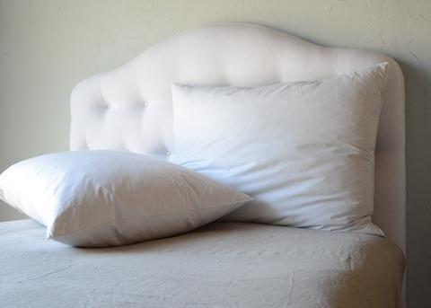 Bella Notte Linens Royal Pillow Insert - AtHomewithBethandChad.com