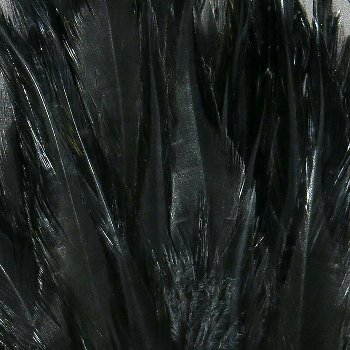 Shiny black iridescent saddle hackle feather detail