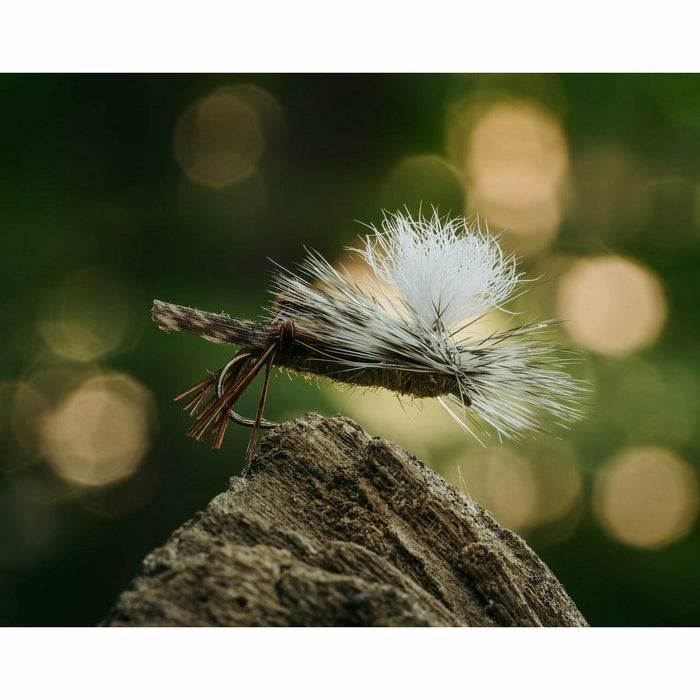 TMC5212 dry fly lure with brown body and white hackle for imitating hoppers