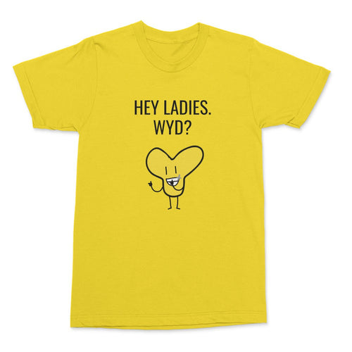 'Y HEY LADIES. WYD?' T-SHIRT