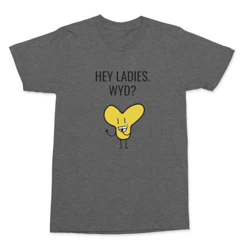 'Y HEY LADIES. WYD?' T-SHIRT