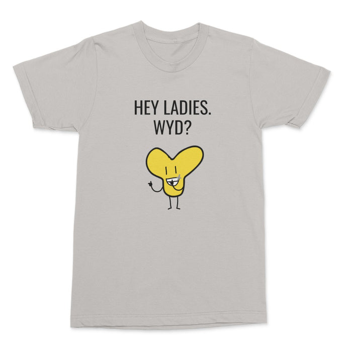 'Y HEY LADIES. WYD?' T-SHIRT