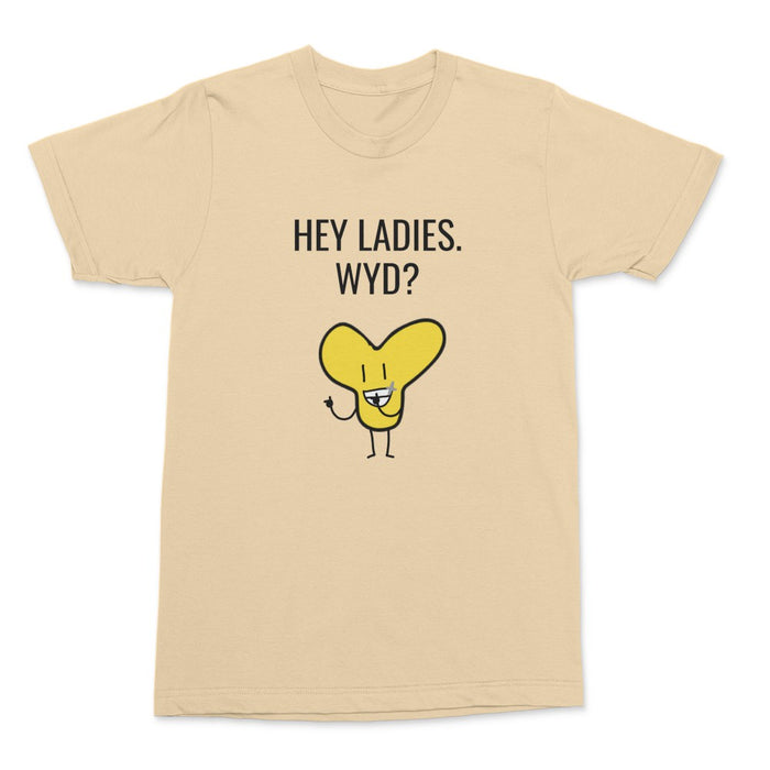 'Y HEY LADIES. WYD?' T-SHIRT